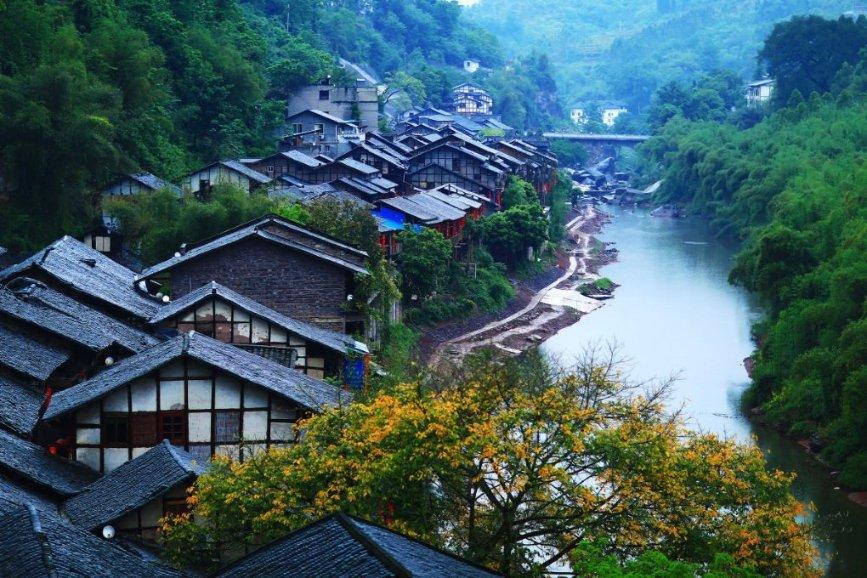 勿忘我